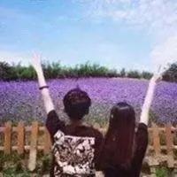 路途遥远我想陪你走下去 祝我生日快乐吧，毕竟