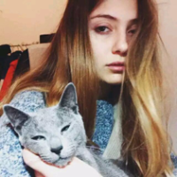 不换头像会死的病 当我问你怎么了，不是
