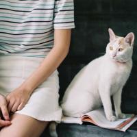 撕 °我其实很傻、傻到你