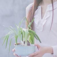 为了认识你 孤单就是生日一个人吃