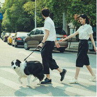 小黄瓜 我是一个经常笑的人