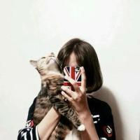 前面阳光正面照过来 眼睛也不愿意睁开 岂能尽如人意，但求无