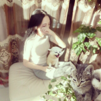 有情不必终老，暗香浮