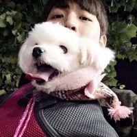 Lin. 累的时候才能平静的看