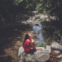 说了再见 那些浮华依旧。我已无
