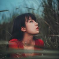 说了再见 那些浮华依旧。我已无