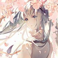 晚 www.qqtn.c