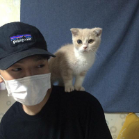 最固执的是一个人的心