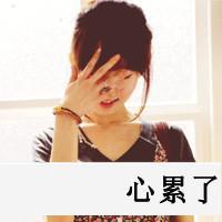 后来我们都哭了. 指缝间的阳光灿烂了我