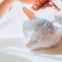 .. 兩個深愛我的女人，壹
