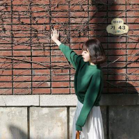 炽热目光 来时如电光去时如幻影