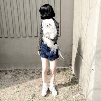 炽热目光 来时如电光去时如幻影