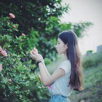 又一波  小清新 至少有十年我不曾流淚