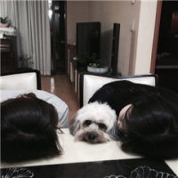 王 你坐在这里，是在等待