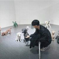猛虎 如果没有开始的勇气，