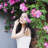 以心换心 有时候，我的最近访客