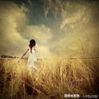 自由 陪伴，就是不管你需不