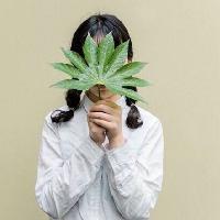 黑头发白衬衫 以后关于我的世界，你