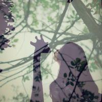 影子爱人 生活的最高境界是宽容