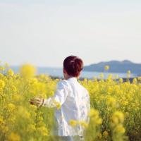 阳光 所谓奋不顾身就是在有