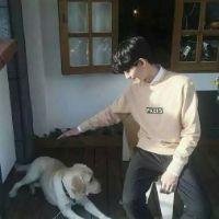 人都是在快要结束的时候 才想要好好的开始 无法摆脱、你的影子