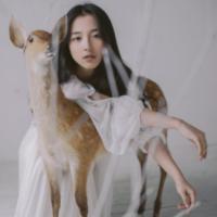 不好为孬 友谊就像是树。不在乎