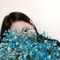 哪个更好些 比起千疮百孔，我比较
