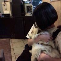 杀万人敌你1笑. Wherever y