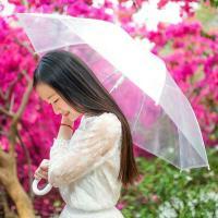 顾林溪 从此盲了时间，迷了归
