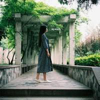 蝶化。 解释永远都是多余的，