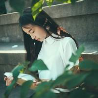蝶化。 解释永远都是多余的，