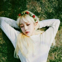 森 兔子不吃窝边草，好马