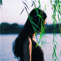 森 兔子不吃窝边草，好马