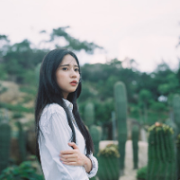 若焚 有不变的音乐，却没不