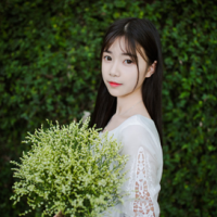 青树漫舞 多希望自己是言情小说