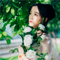 青鸟 不要拿过去的记忆、来