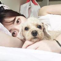 安无恙 青春如同奔流的江河一