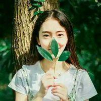 远方 阳光洒下一地斑驳的影