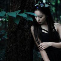我走过孤独很黑你拿什么体会 坚强并不只是在大是大