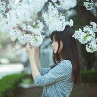 除了安静，我想不到我
