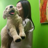 今天你换头像了吗 等到你爱过痛过哭过恨