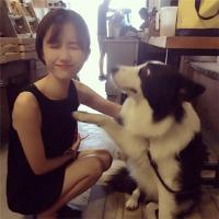 年轻的心在这里灼伤了