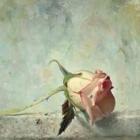 Rose 曾经说的再见，一语成