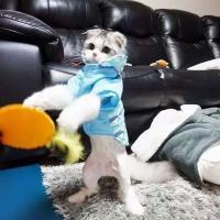 有时候，听到一首歌就