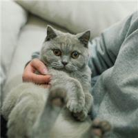 在这个世界上，只有伤