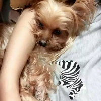 女宠'二 分手以后到处说你坏话