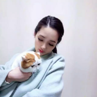 或许 爱明明该被歌颂为何还