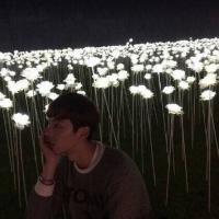 红衣佳人白衣友#情头 那些惨白的对抗之后，
