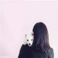 ：无尽风吹 吹向有你的方向 If I were