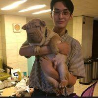 城 曾經深愛，如果分離，